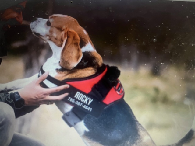 Rockydog