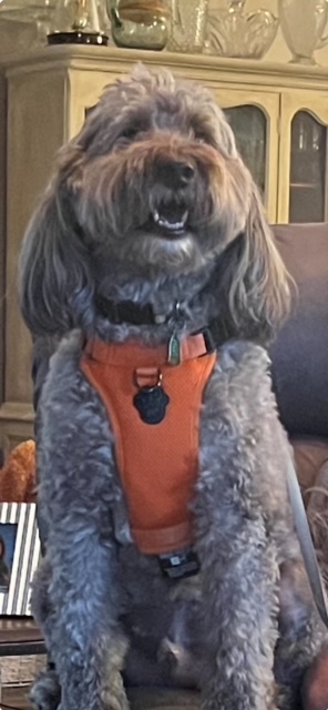 dudley